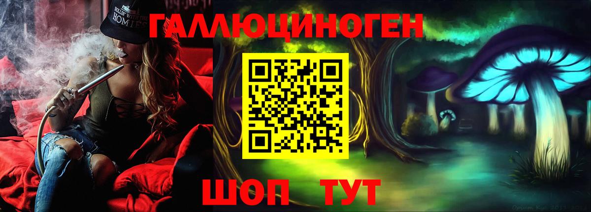 хочу   Вход с VPN  Щёлково  Галлюциногенные грибы мицелий 